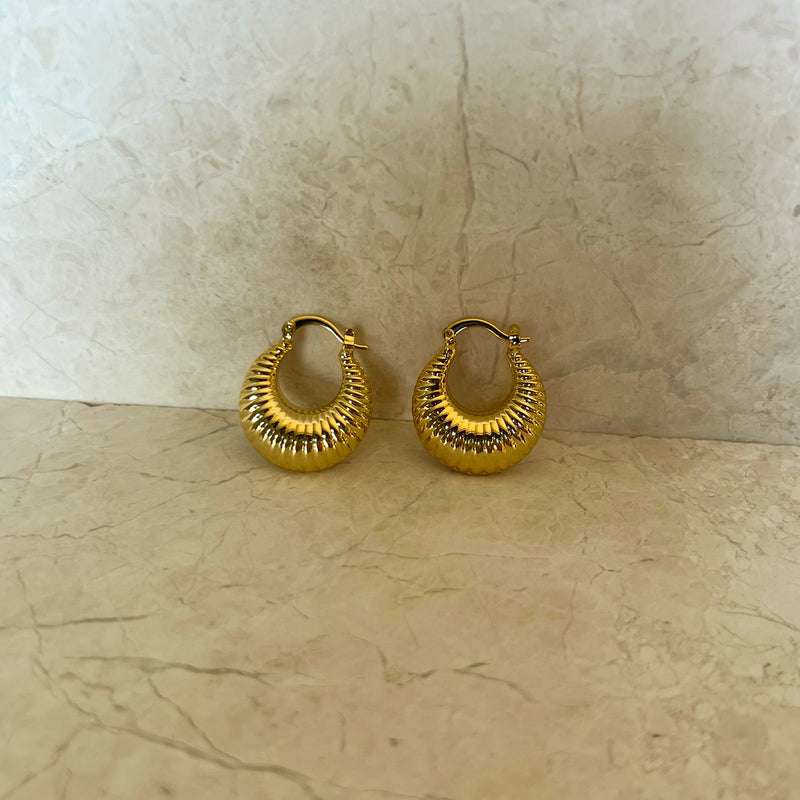 Ariel Hoops