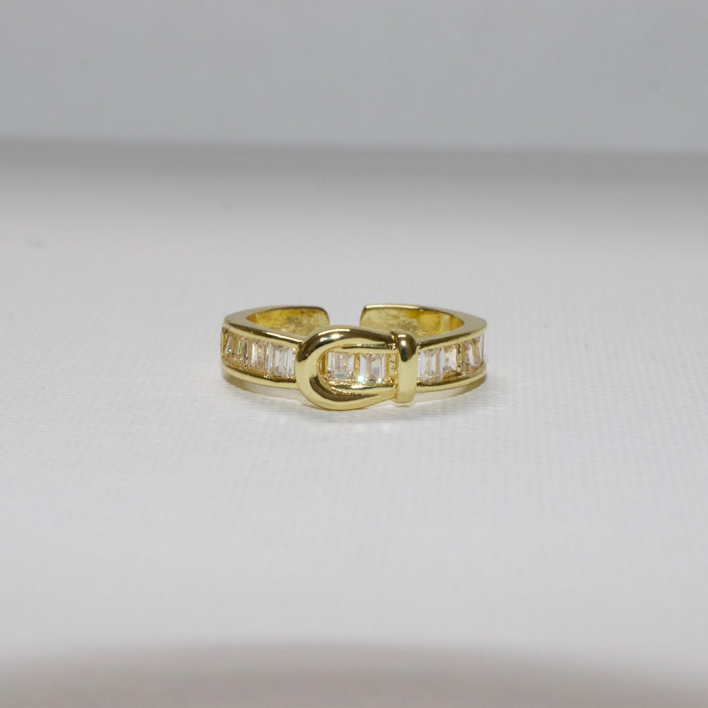 Year of the horse ring