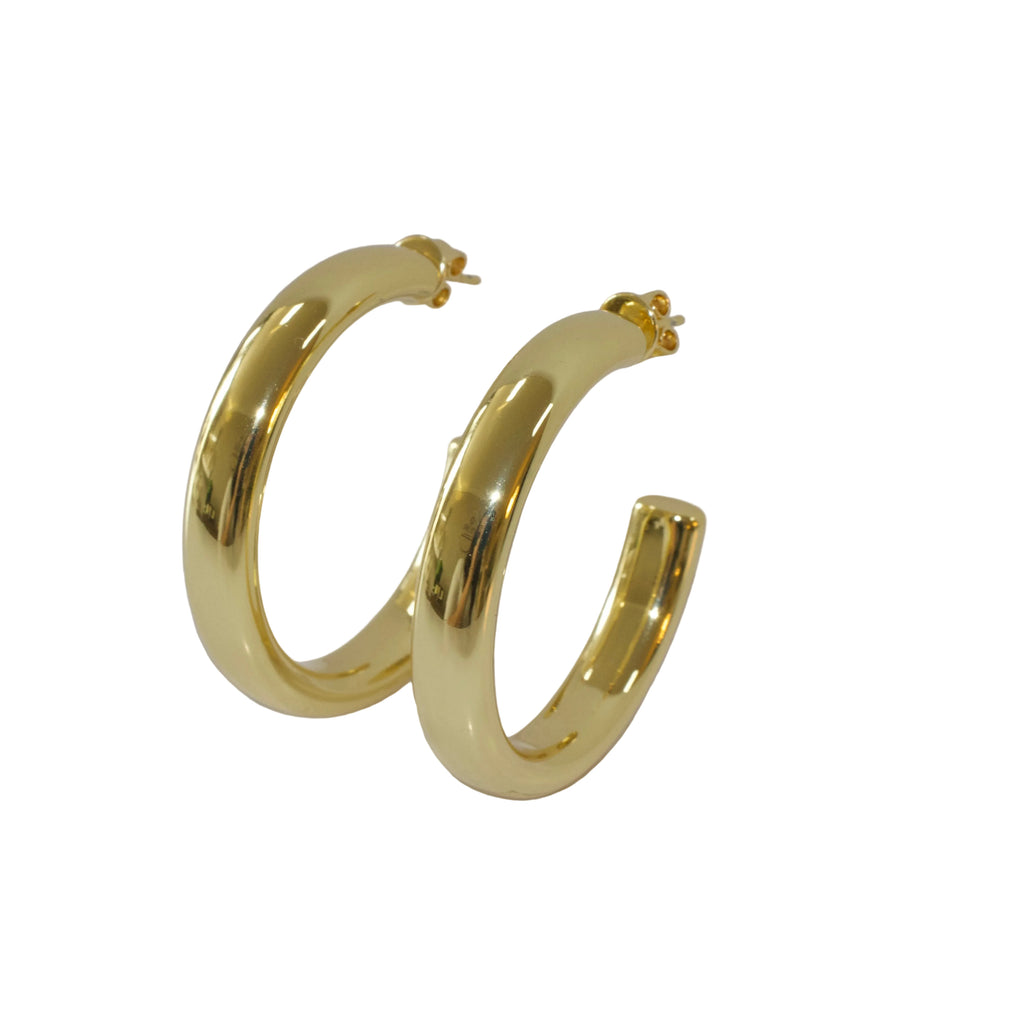 Bianca Hoops